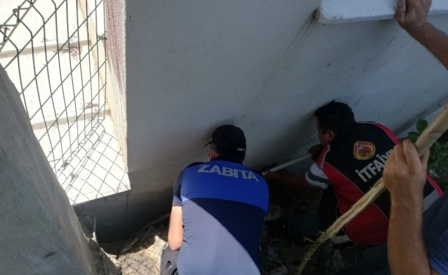 Bilecik’te iki bina arasına sıkışan yavru köpek kurtarıldı