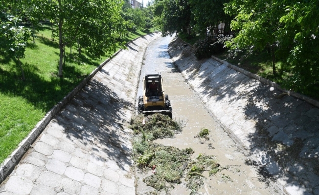 Isparta Belediyesi dere ve kanalları temizliyor