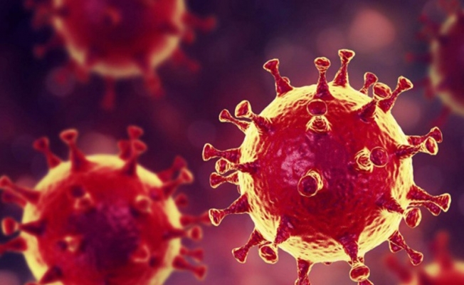 Koronavirüs hakkında çıkan haber sayısı 21 milyonu aştı