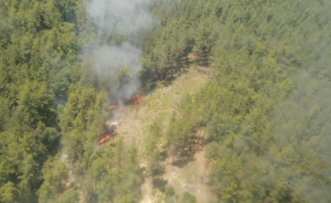 Ormanın iki ayrı noktasında başlayan yangın söndürüldü