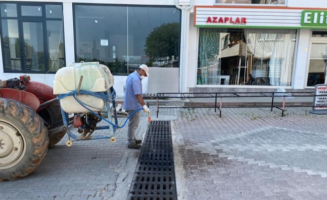 Osmaneli Belediyesinden larvalara kaşı ilaçlama