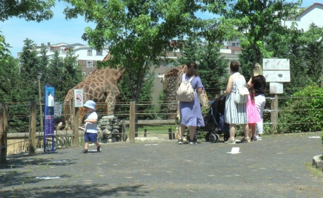 (Özel) Çocuklar, 3 ay sonra açılan hayvanat bahçesinde vakit geçirdi