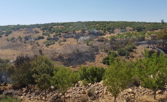2 saatte kontrol altına alınan orman yangınında 5 hektar alan zarar gördü