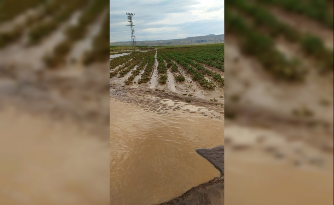 Ahlat’ta sel suları ekili alanlara ve sulama kanallarına zarar verdi
