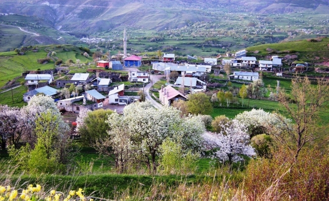 Ardahan’ın ilçelerinde Müftü, Posof’un köylerinde imam yok