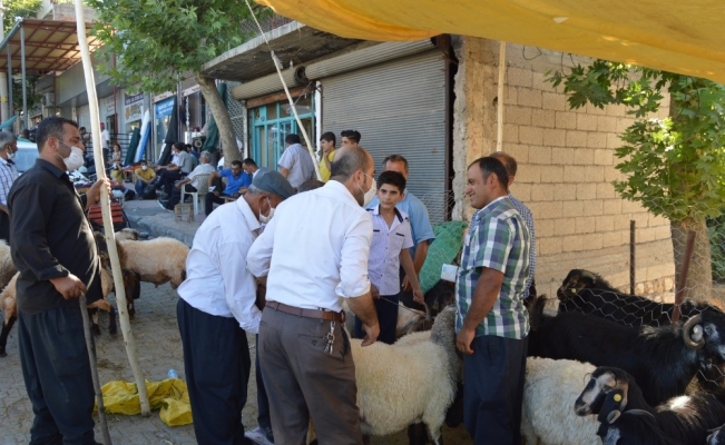 Besni hayvan pazarında satışlar devam ediyor