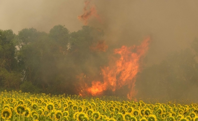 Çanakkale’deki poyraz orman yangınına müdahaleyi güçleştiriyor...Kumköy de boşaltılıyor