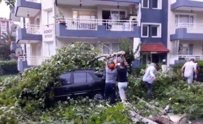 Fırtına, Alaşehir’de büyük hasara neden oldu