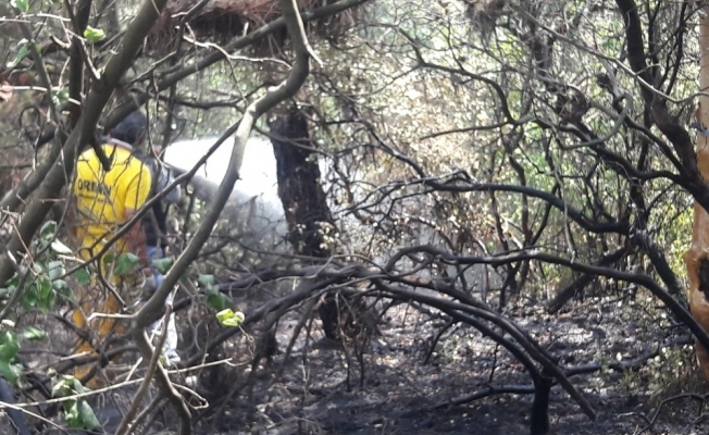 Gelibolu’daki yangın söndürme çalışmalarına katılan Şuhut ekibi ilçeye döndü