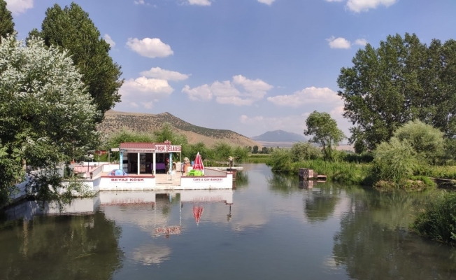 Hayalini gerçekleştirip köyüne doğal yaşam alanı kazandırdı