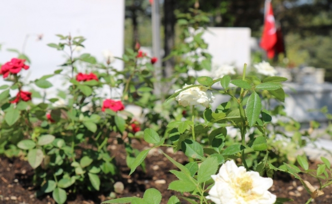 Kırşehir şehitliği, Kurban Bayramına hazırlandı