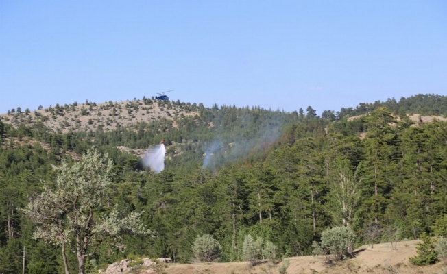 Konya’da ormanlık alanda yangın