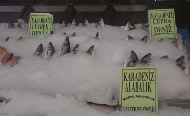 Korona virüs balık satışlarını artırdı, en çok levrek ve çipura tüketiliyor