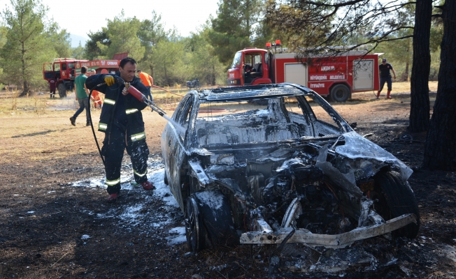 Lüks otomobil ormanlık alanda alev alev yandı