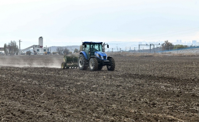 Macar fiğ tohumu desteği için başvuru rekoru
