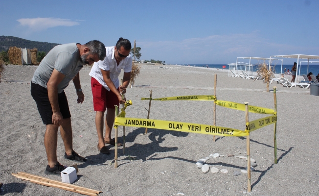 Pandemi döneminde boşalan sahiller Caretta Caretta'lara kaldı