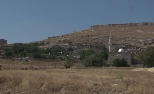 Terör örgütü PKK’nın Cevizli saldırısı unutulmuyor