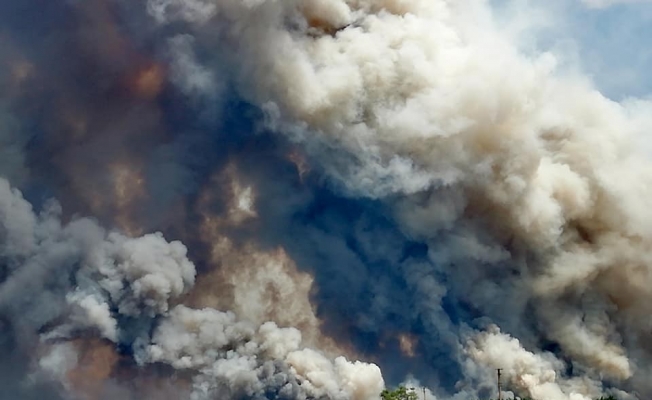Ukrayna’da korkutan orman yangını: 4 ölü