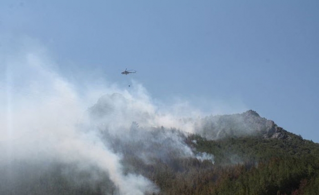 Yıldırım düştü, 3 hektarlık ormanlık alan yandı