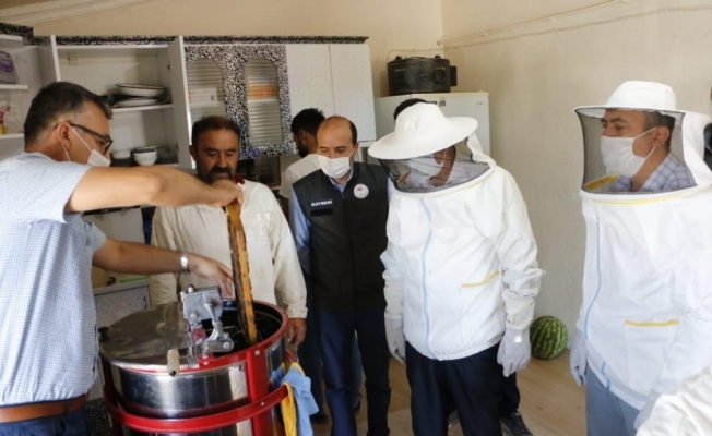 Arıcıların zorlu bal mesaisi