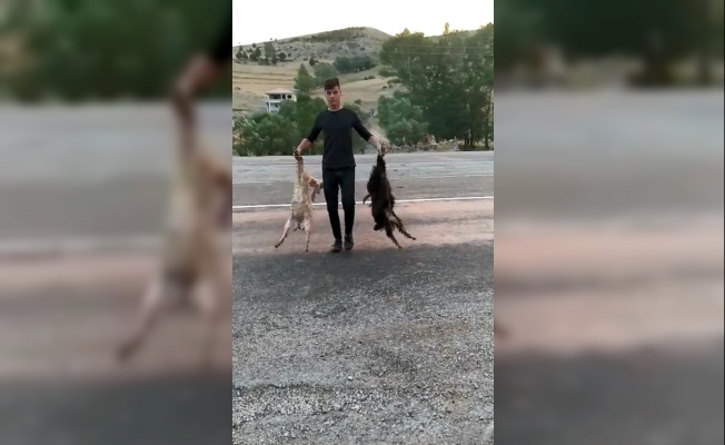 Besicinin hız ve alt geçit isyanı