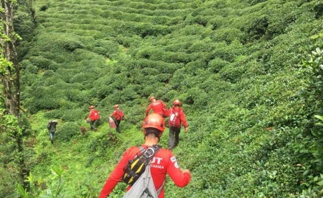 Çay toplamak isterken mahsur kalan 7 kişi AKUT ekipleri tarafından kurtarıldı