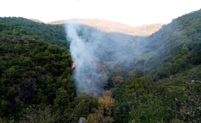 Cide’de çıkan orman yangını büyümeden söndürüldü