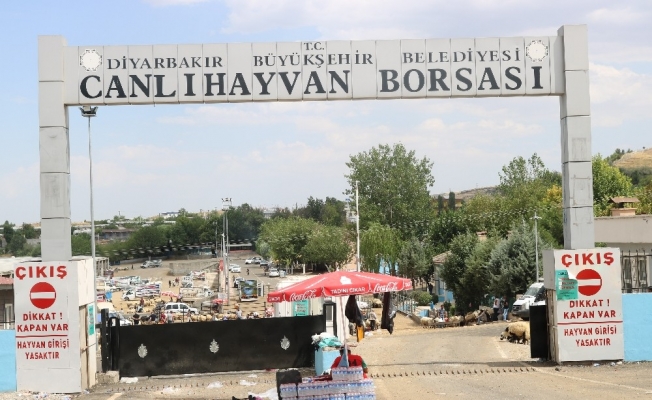 Diyarbakır’da kurbanlık fiyatları bayramın 3’üncü gününde düştü