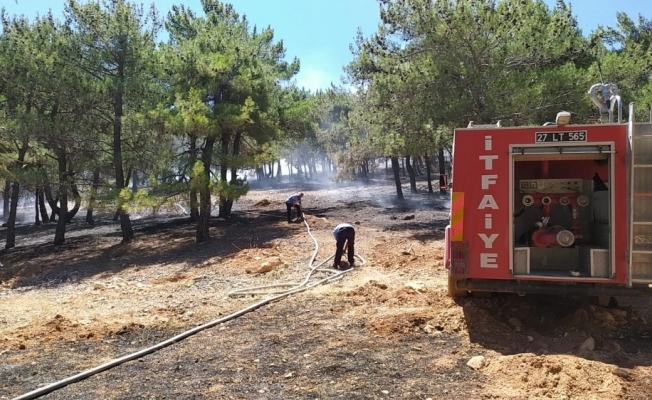 Gaziantep’teki orman yangını söndürüldü