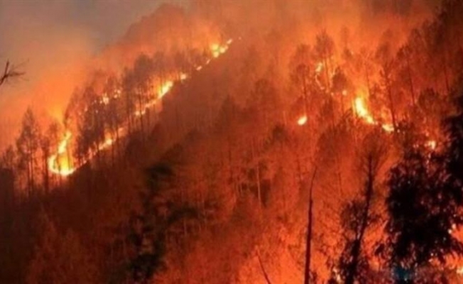 İtfaiyeden orman yangını uyarı