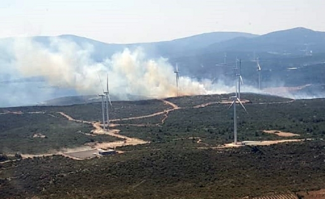 İzmir Seferihisar’da çıkan orman yangını kısmen kontrol altında