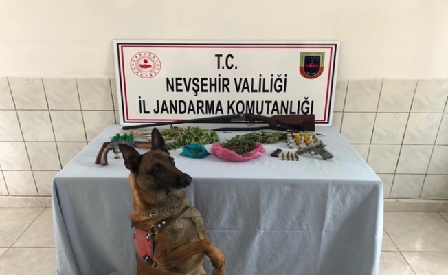 Jandarma ekipleri Gülşehir’de uyuşturucu operasyonu yaptı