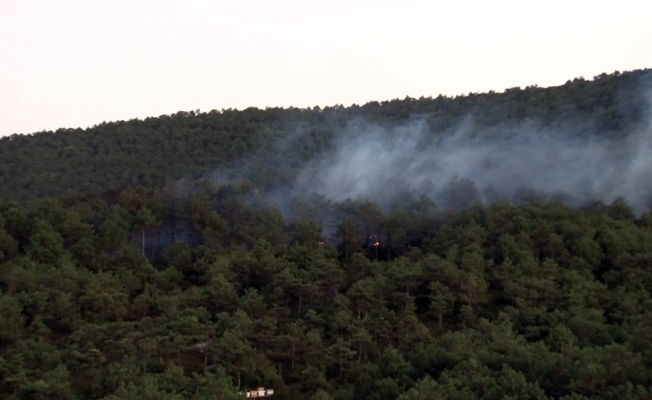 Kayışdağı’nda çıkan orman yangını kontrol altına alındı