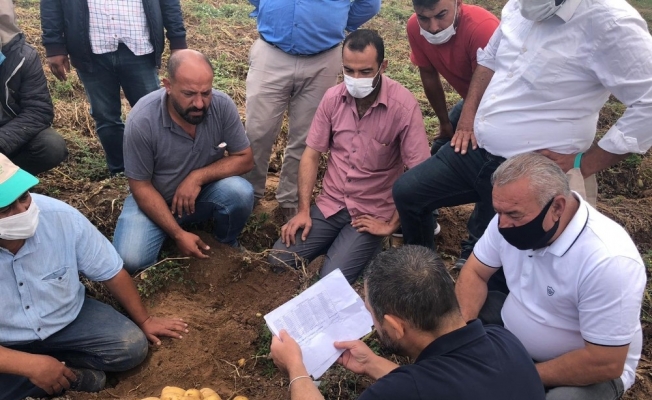 Nevşehir’de patates hasadı başladı