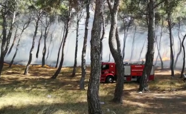 Soma’da orman yangını