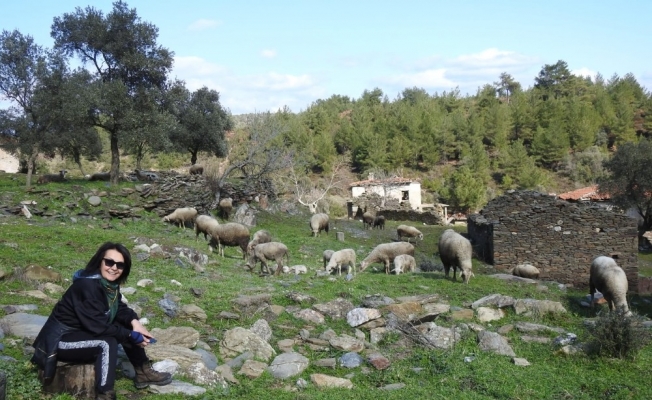 2 asırlık köy, koyunlara kaldı