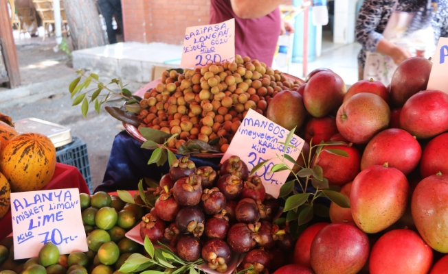 Alanya'da yetişen tropik meyveler fiyatlarıyla dudak uçuklatıyor
