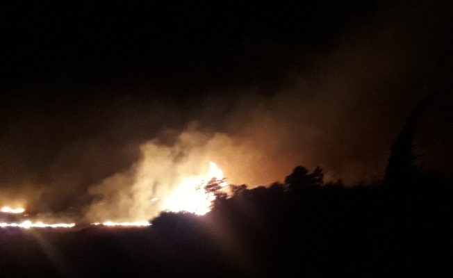 Antalya’da kırsal alan yangını