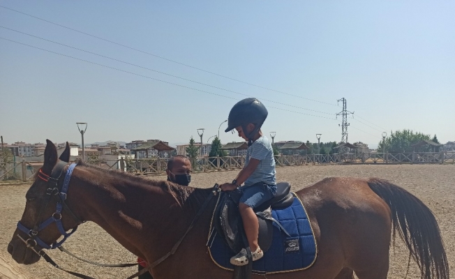 At çiftliğine çocuklardan yoğun ilgi