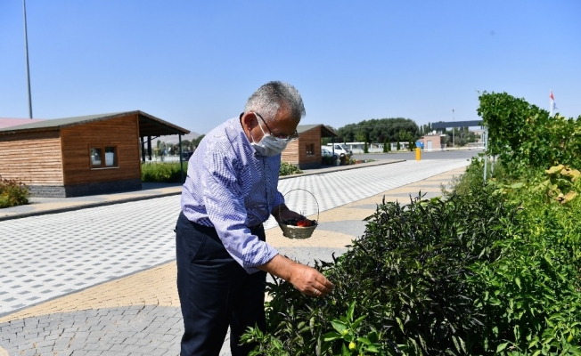 Başkan Büyükkılıç’tan organik tarıma destek, vatandaşa davet