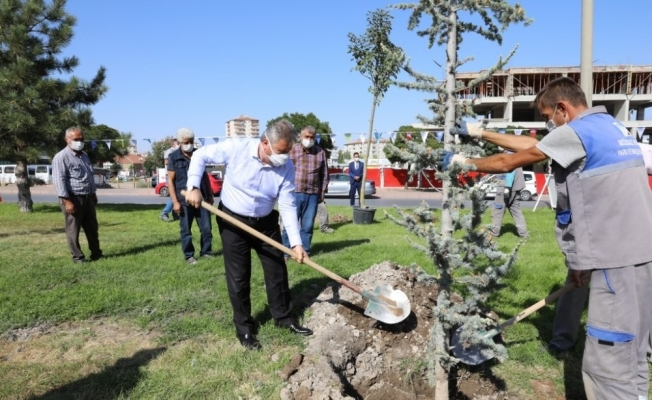 Başkan Dr. Mustafa Palancıoğlu“fidan değil, ağaç dikiyoruz”