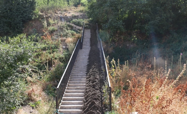 Bitlis Belediyesi merdivenleri yeniliyor