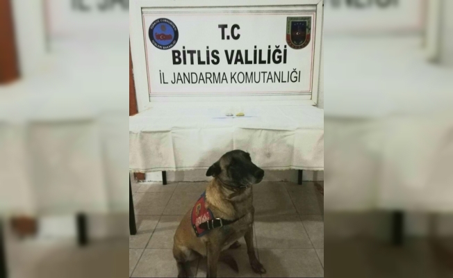 Bitlis’te Metanfetamin ele geçirildi