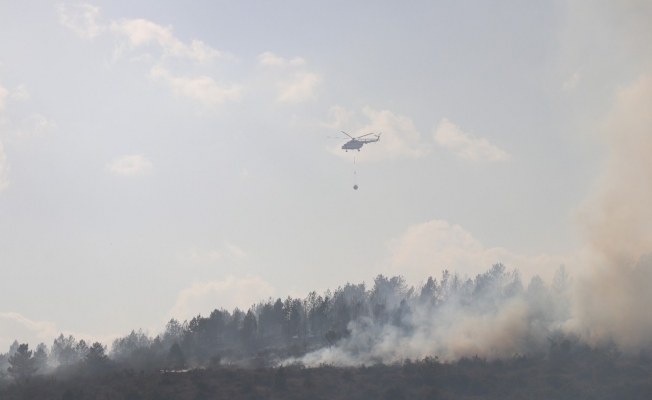 Bolu’da yangın 40 hektarlık alanda etkili oluyor