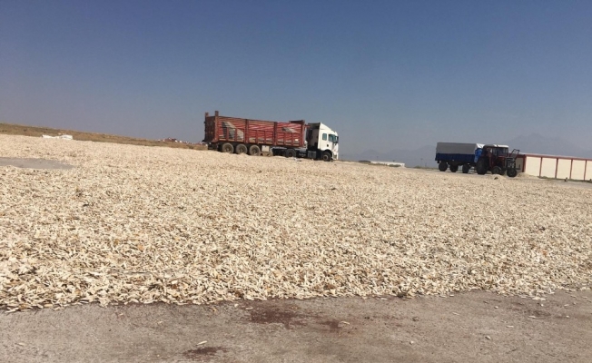 Büyükşehir’den çiftçiye hep destek