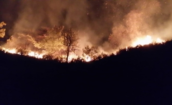 Düzce’de orman yangınına müdahale sürüyor