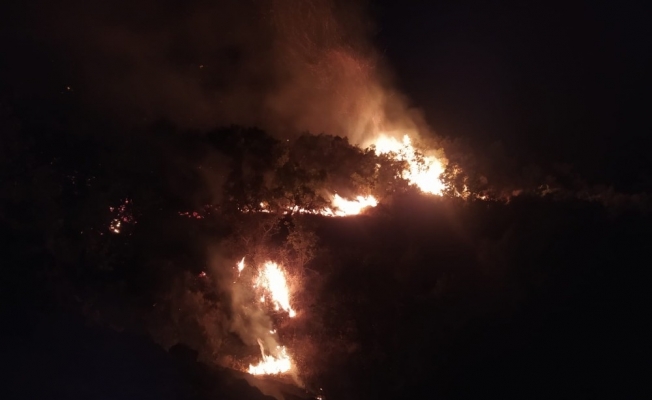 Elazığ’daki orman yangını 30 saatte kontrol altına alındı