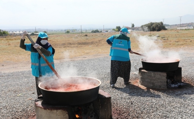 Geleneksel tohumlar, salçaya dönüştü