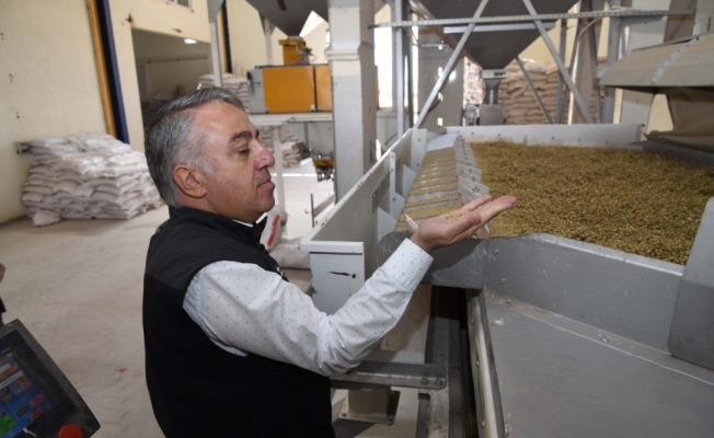 İl Tarım ve Orman Müdürü Şahin, "Milli tohum üretimini destekliyoruz"