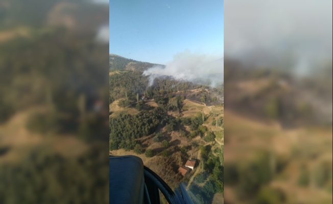 İzmir’deki orman yangını kontrol altında
